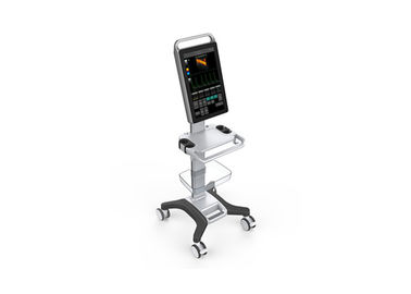Tarama Derinliği 320mm ile Ultrason Tarama Makinesi Taşınabilir Ultrason Tarayıcı