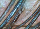 Deri / Saç Muayene Kapsamında Dijital Görüntü Otoskopu 200 Büyütme ile