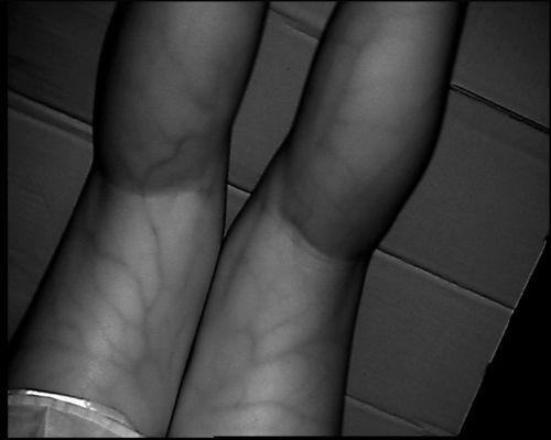 El Alma Bacağı için 3,5 inç Ekranlı Yüksek Çözünürlüklü 800X480 Masa Tipi Damar Bulma Cihazı