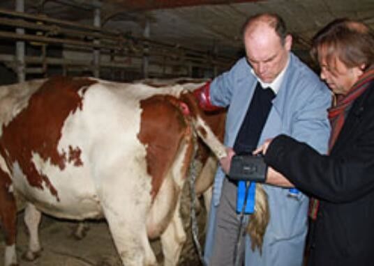 Dijital Veterinerlik Ultrason Tarayıcısı