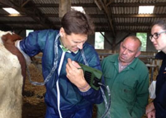 Mini Veterinerlik Ultrason Tarayıcısı